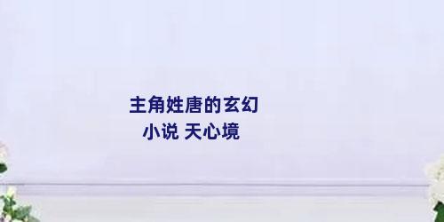 主角姓唐的玄幻小说 天心境